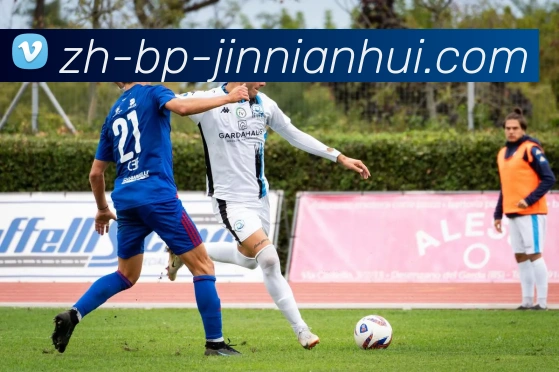 金年会体育平台生态图